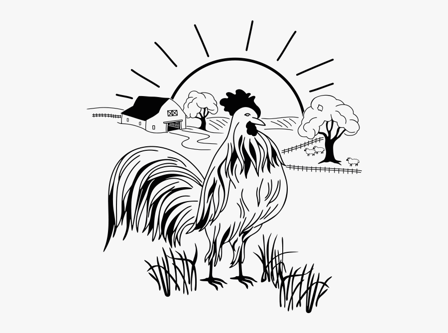 Rising Sun With Rooster Clipart Black And White, Transparent Clipart