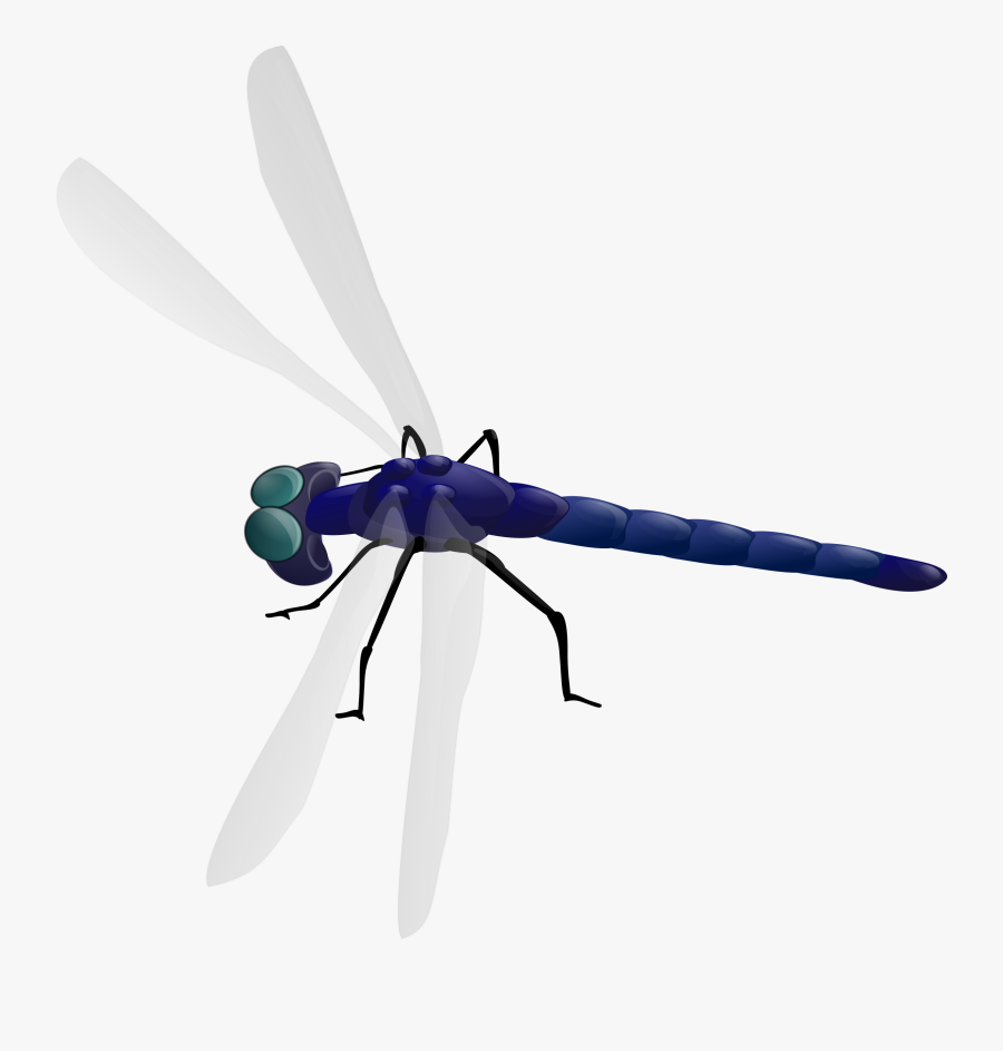Clipart - Dragonfly Clipart Gif, Transparent Clipart
