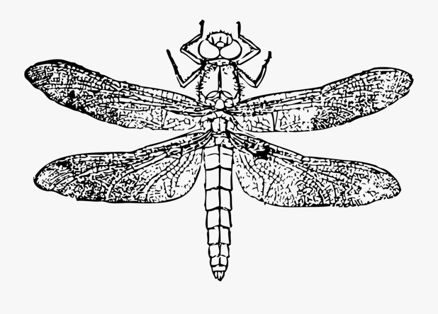 Dragon Fly Kite Black And White, Transparent Clipart