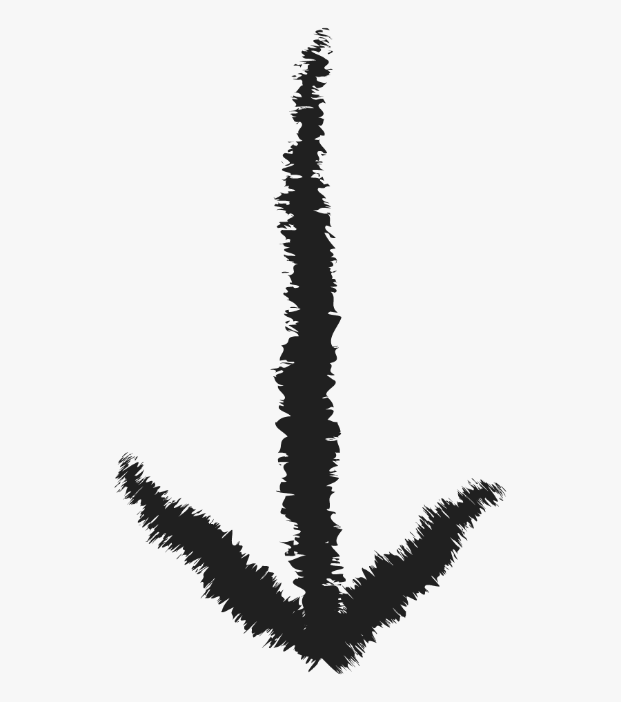 Dead Bird Png - Illustration, Transparent Clipart