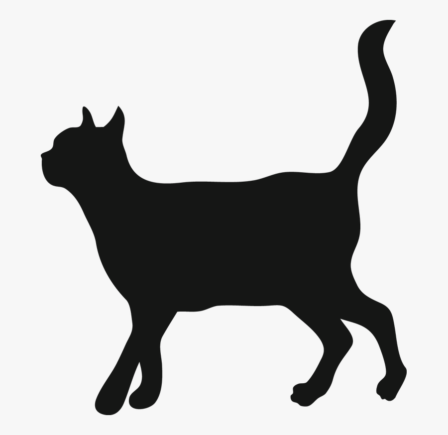 Trap Neuter Return Forgotten Felines Of Forsyth Nc - Vet Çizmeli Kedi Cekmekoy, Transparent Clipart