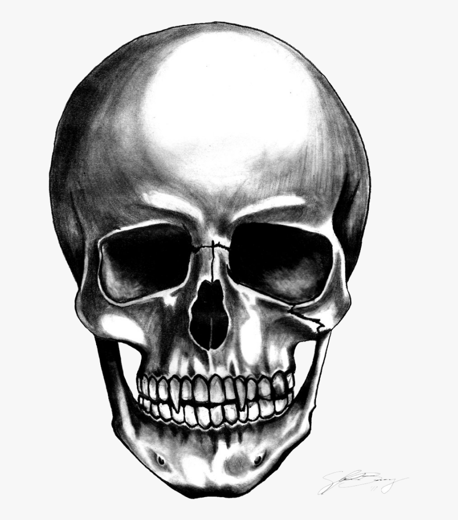 Skulls Png Image - Skull Transparent Png, Transparent Clipart
