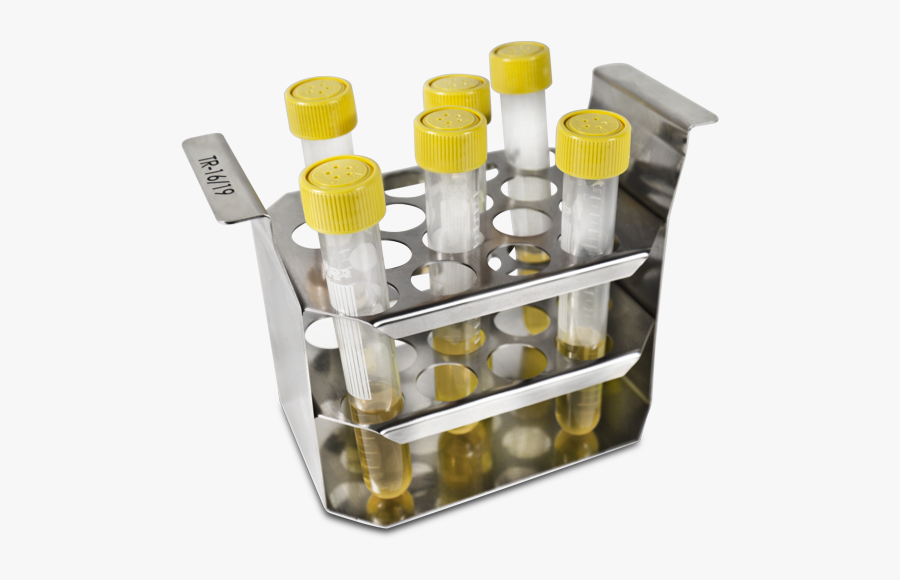 Furniture, Transparent Clipart