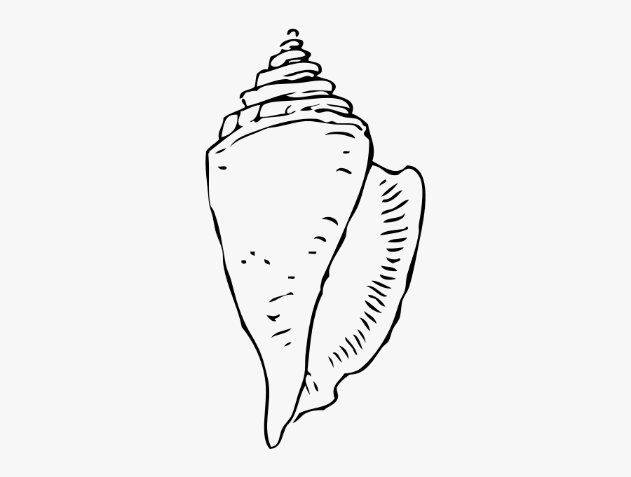 Vector Drawing Of Simple Black And White Seashell - Sea Shell Clip Art Black And White, Transparent Clipart