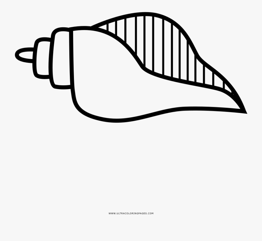 Seashell Coloring Page - Stairs, Transparent Clipart