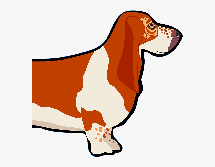 Basset Hound, Transparent Clipart