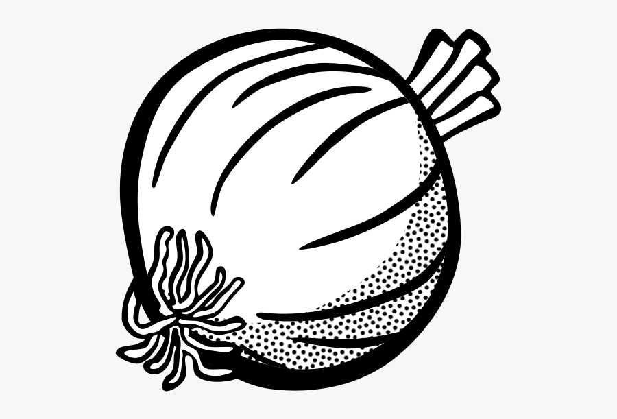 Image Of Onion In Black And White - Onion Clipart Black And White, Transparent Clipart
