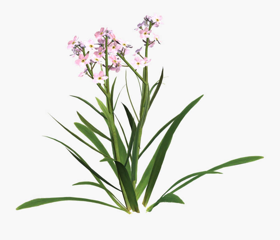 Cliparts Of A Sympathy Card Clipart - Clipart Free Sympathy, Transparent Clipart