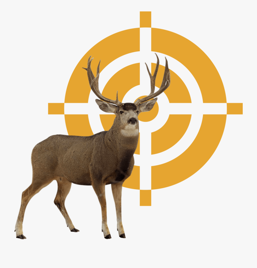 Sniper Target Png Hd, Transparent Clipart
