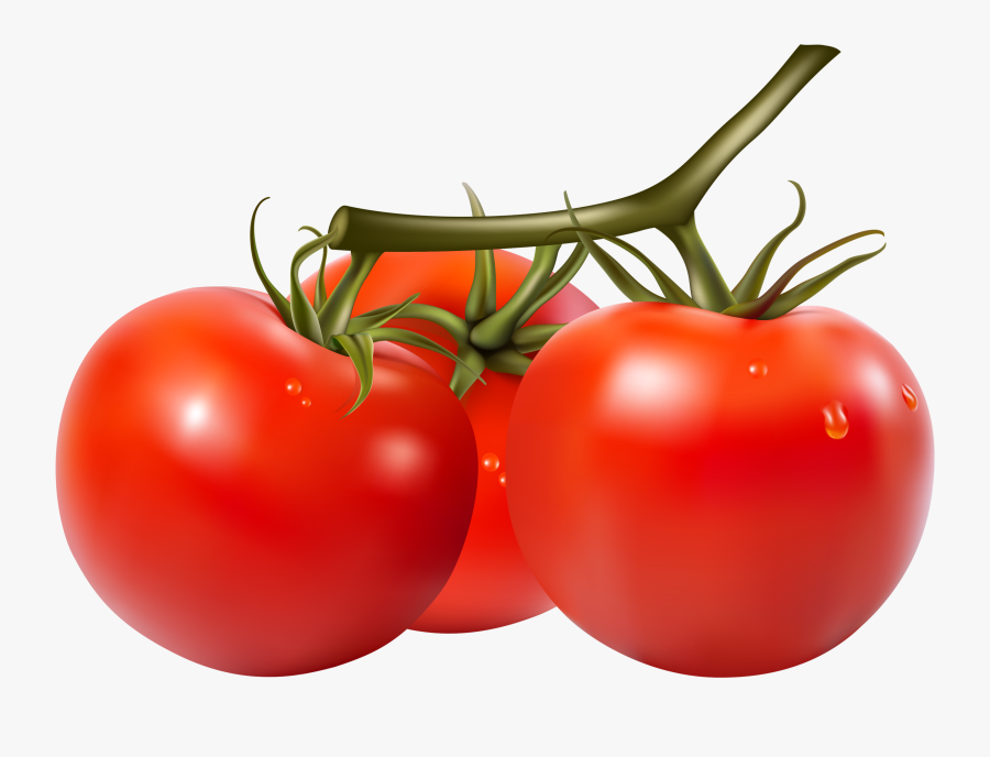 Фотки Fruits And Vegetables, Veggies, Carrots, Clip - Tomato Vector Png, Transparent Clipart