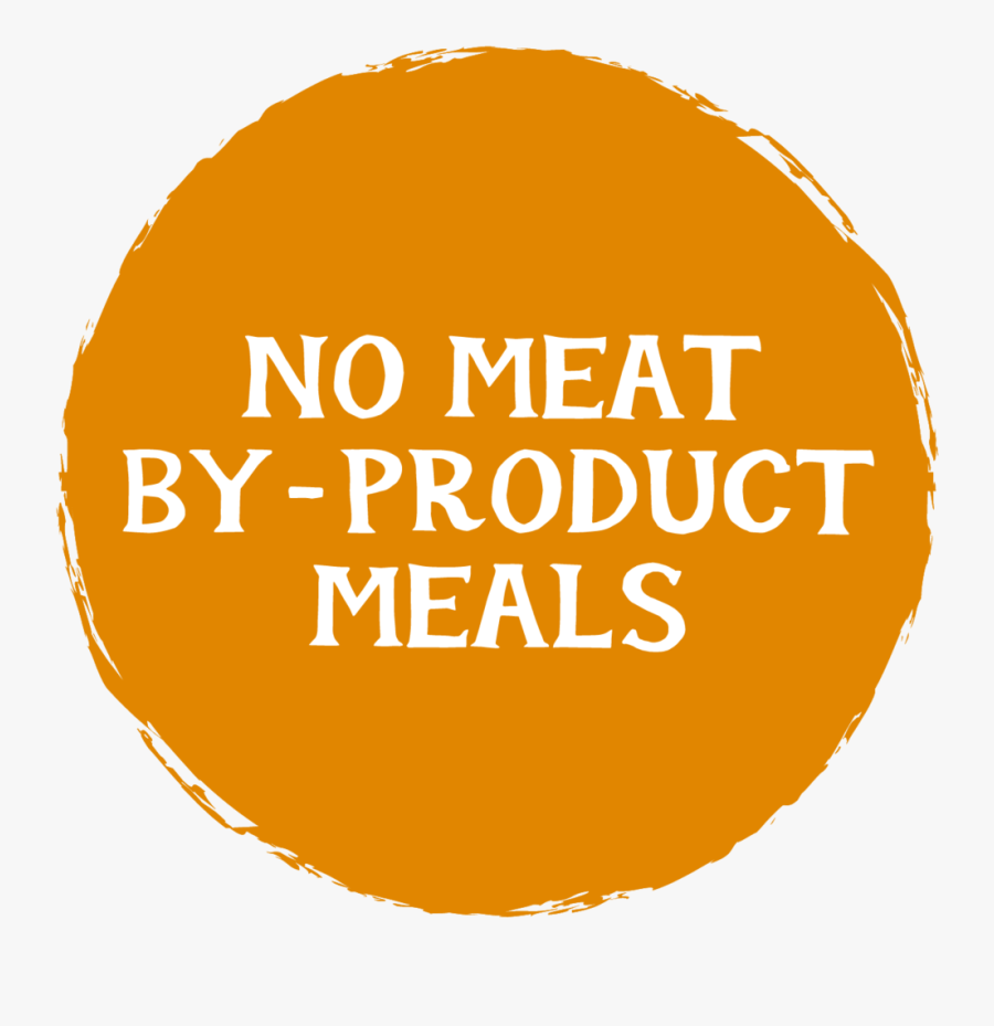 Circle, Transparent Clipart