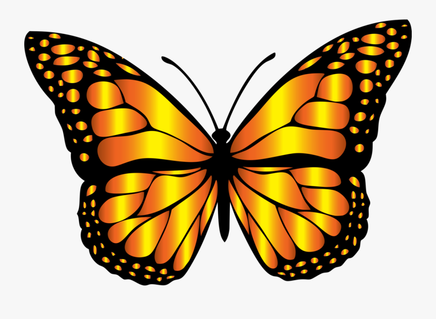 Monarch Butterfly Clipart, Transparent Clipart