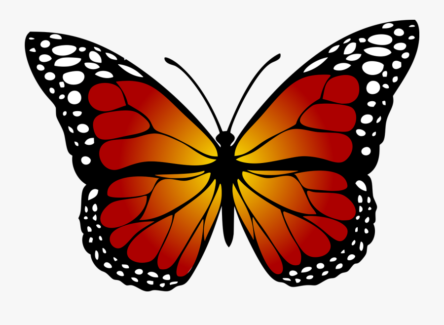 Butterfly Monarch Abstract Free Photo - Monarch Butterfly Clipart, Transparent Clipart