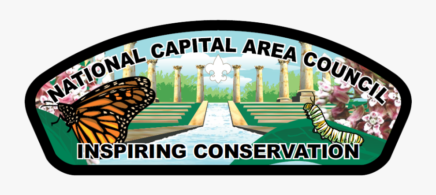 Monarch Butterfly, Transparent Clipart