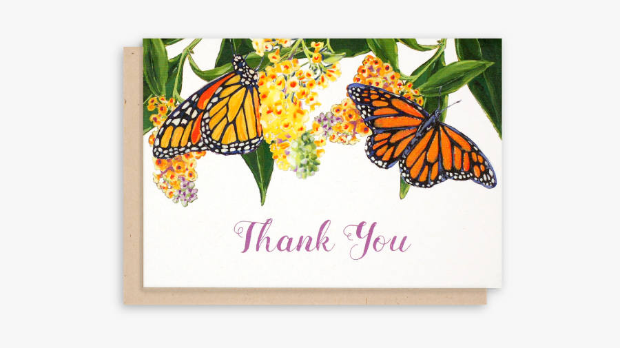 Thank You For The Butterflies, Transparent Clipart