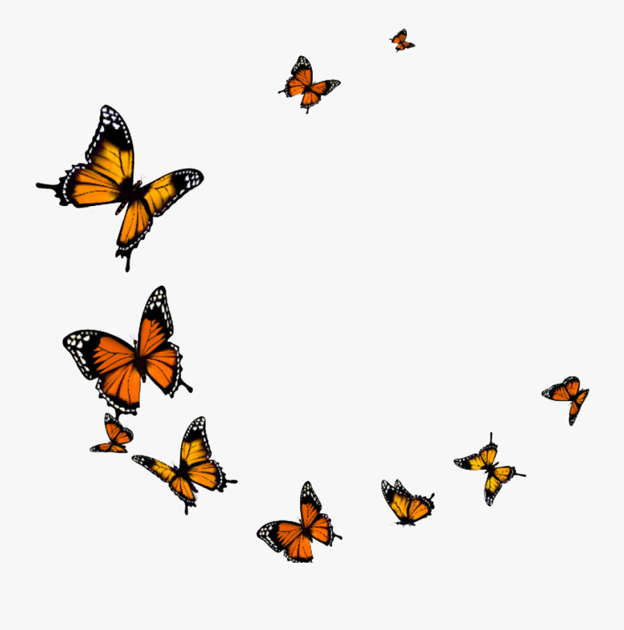Transparent Flying Butterflies Png, Transparent Clipart