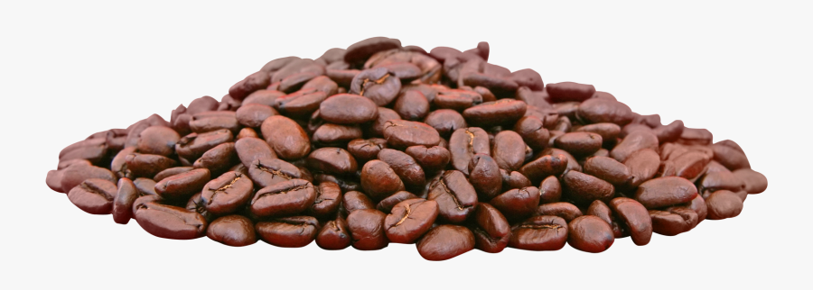 Coffee Bean Espresso Cafe - Coffee Bean, Transparent Clipart