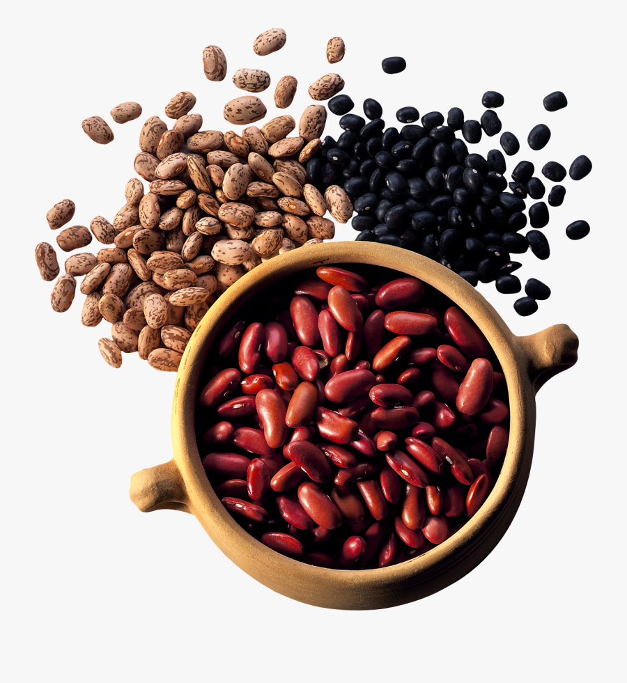 Kidney Beans Png, Transparent Clipart