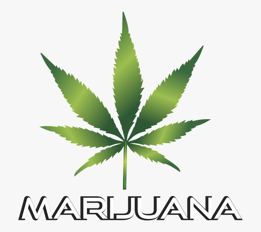 Marijuana Leaf Transparent Background, Transparent Clipart