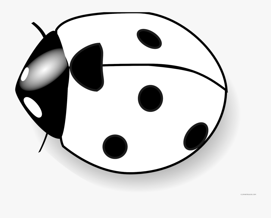 Cute Clipartblack Com Animal - Lady Bug Black And White, Transparent Clipart