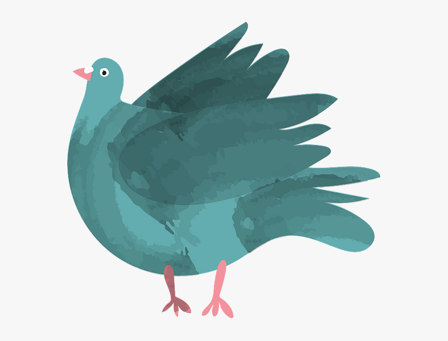 Pigeons And Doves, Transparent Clipart