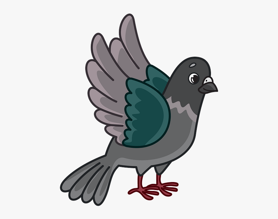 Pigeons And Doves, Transparent Clipart