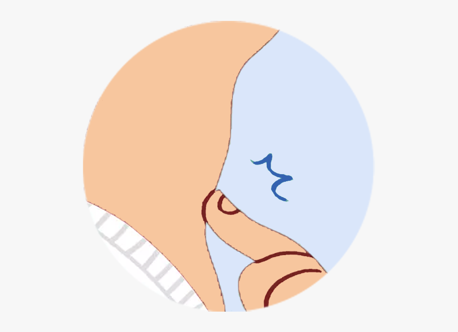 Circle, Transparent Clipart