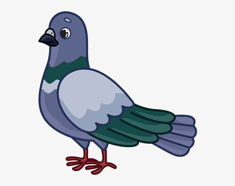 Dove Clipart, Transparent Clipart