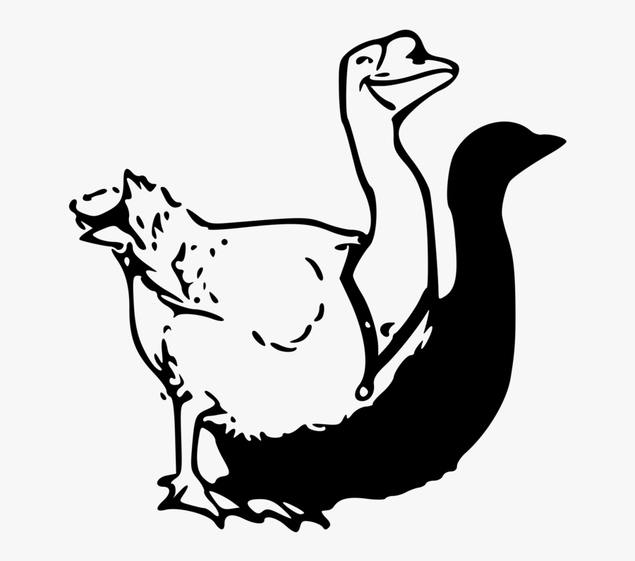 Fowl,goose,duck - Clip Art, Transparent Clipart