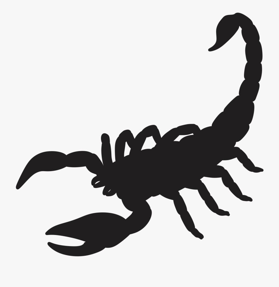 Scorpion Silhouette Drawing - Silhouette Scorpion, Transparent Clipart