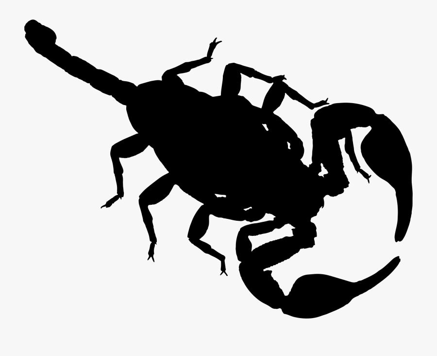 Clipart - Scorpion Clipart Silhouette Png, Transparent Clipart