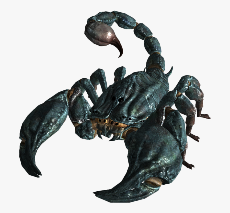 Scorpion Png Image - Radscorpion Fallout 3, Transparent Clipart