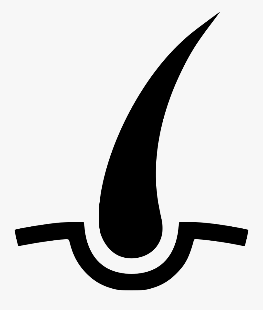Hair Strand Png For Kids Hair Follicle Png Free Transparent