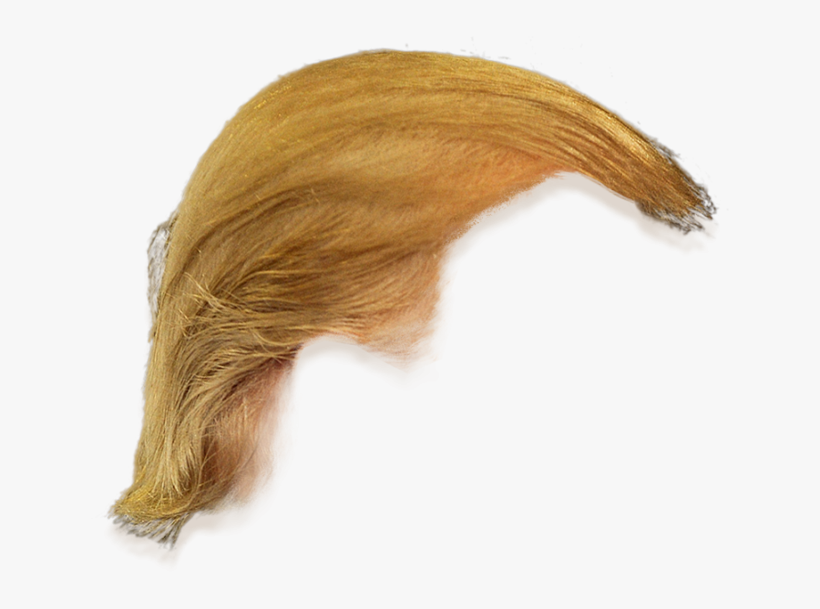 Trump Hair Png - Donald Trump Hair Only, Transparent Clipart