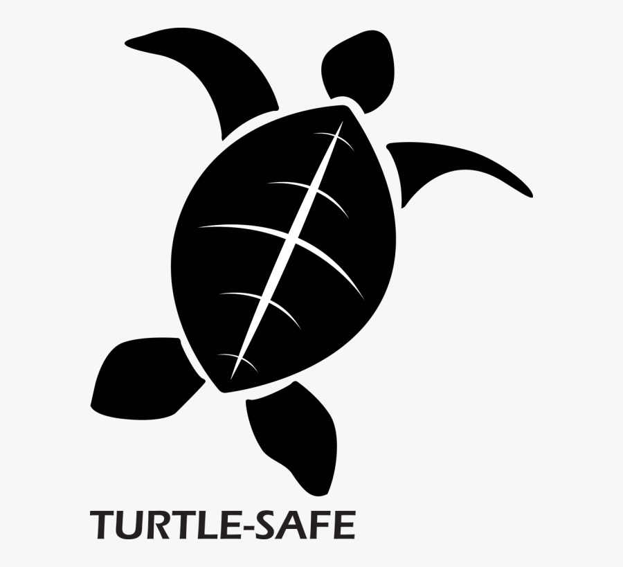 Sea Turtle, Transparent Clipart
