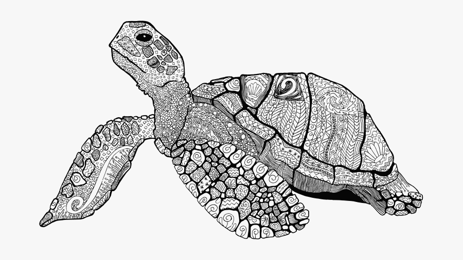 Floral Sea Turtle Line Art - Hard Turtle Coloring Pages, Transparent Clipart