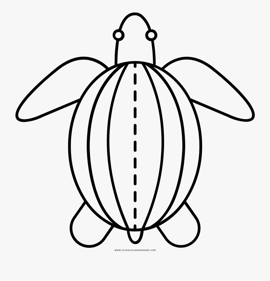 Sea Turtle Coloring Page - Drawing, Transparent Clipart