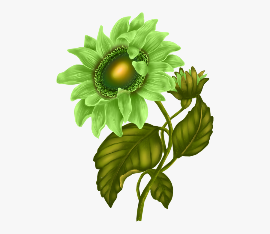 Pin By Beulah Ekkerd On Clip Art Flowers And Rock Art, Transparent Clipart