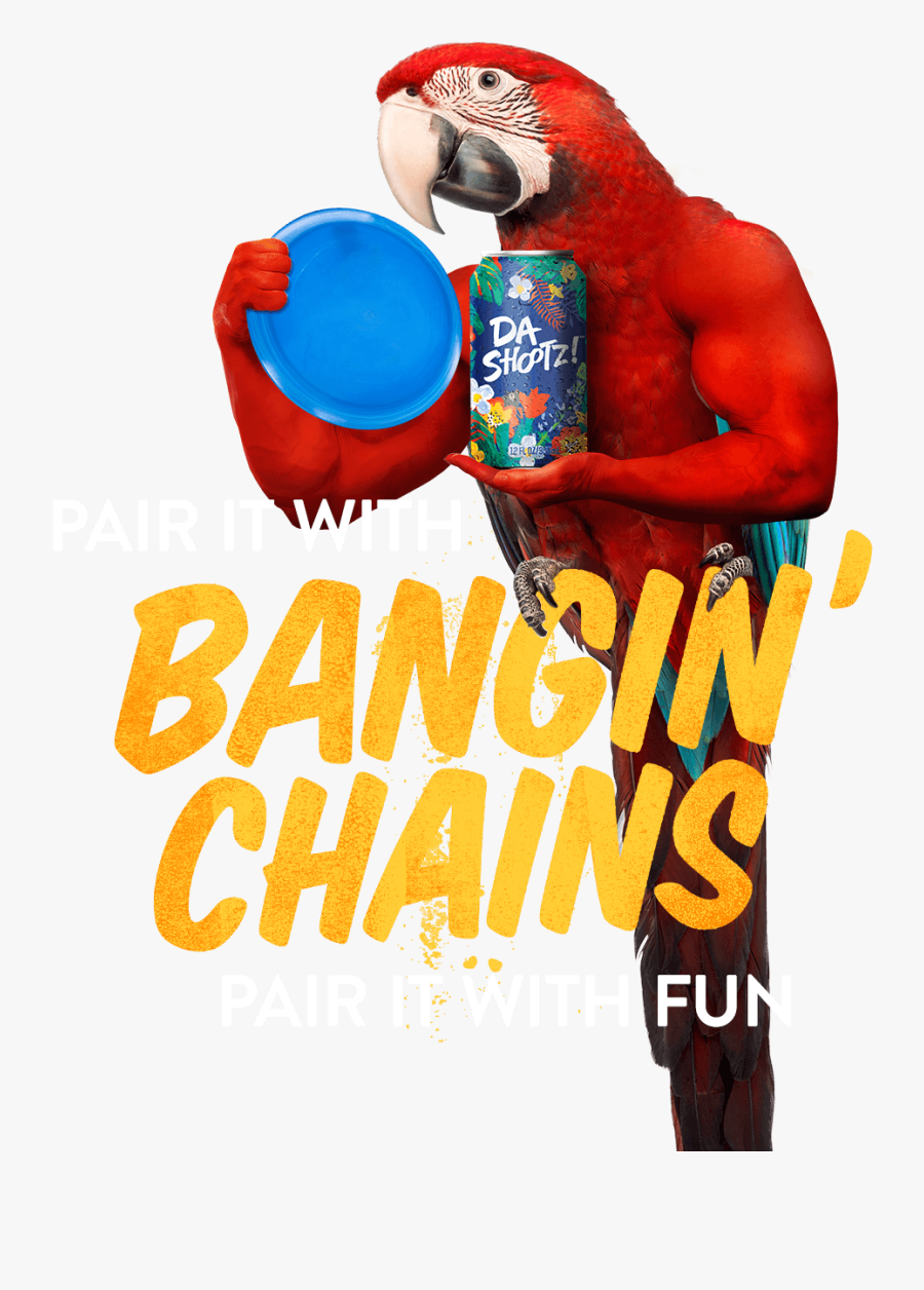 Poster, Transparent Clipart