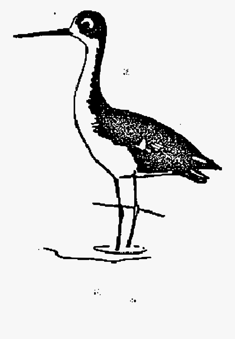 Black Stilt Png Background, Transparent Clipart