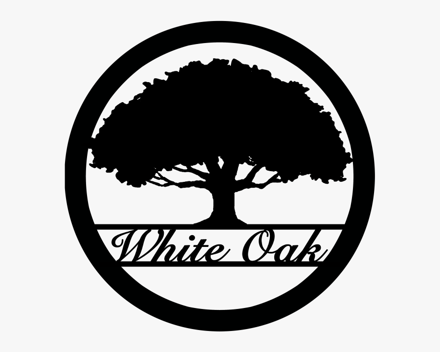 Circle, Transparent Clipart