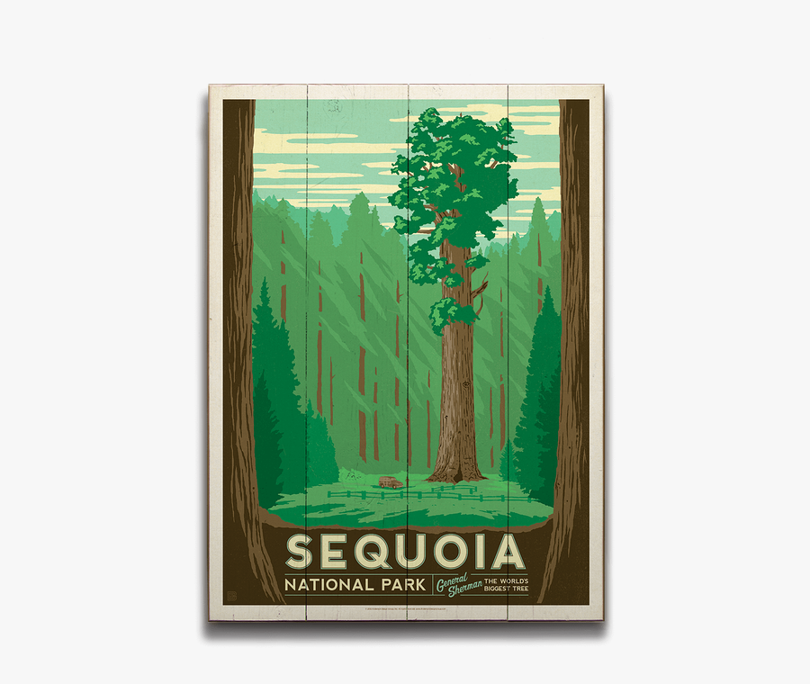 Sequoia National Park Postcard, Transparent Clipart