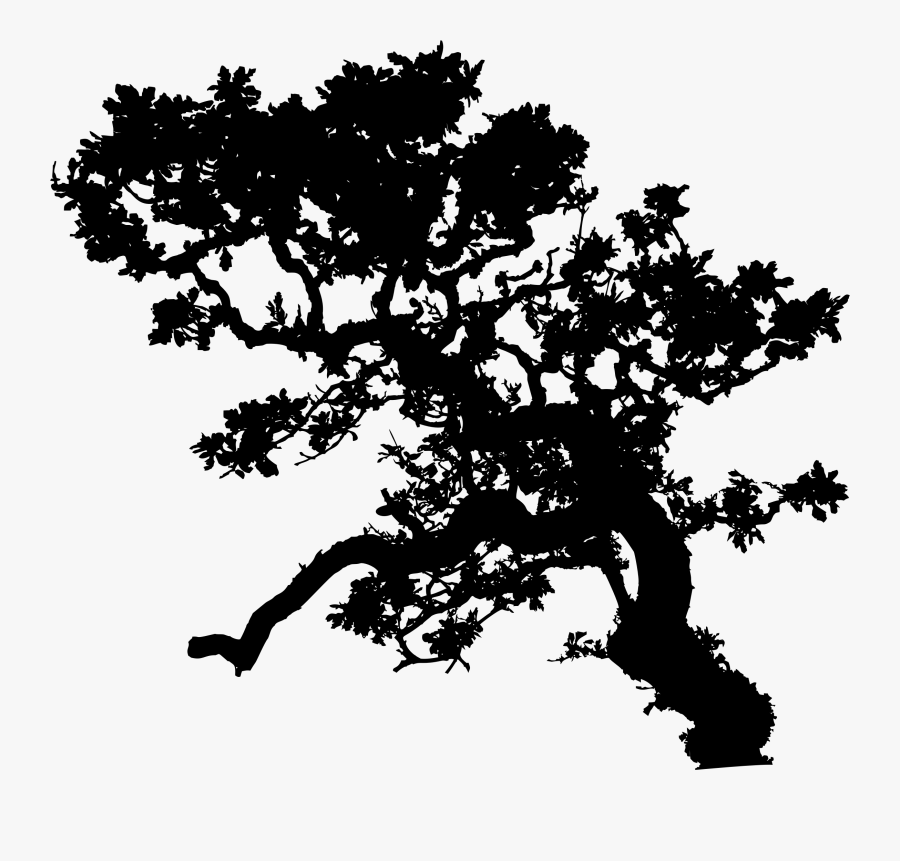 Tree Clipart Silhouette Png Freeuse Download Clipart - Tree Silhouette Branch Leaves, Transparent Clipart