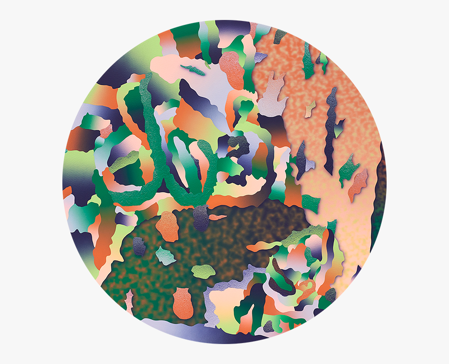 Circle, Transparent Clipart