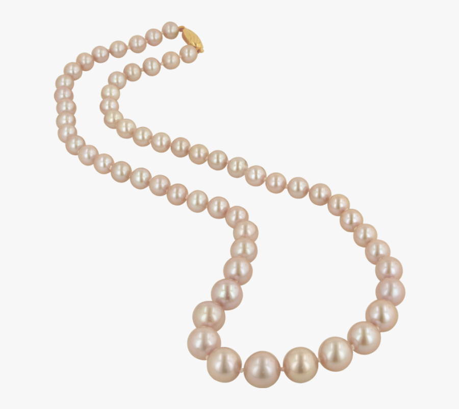 Pearls Clipart Strand - Pearl Necklace Transparent Png, Transparent Clipart