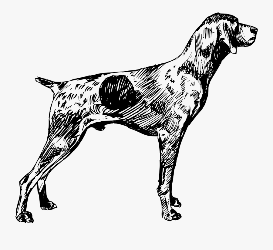 Shorthaired German Pointer Silhouette Clip Art - German Shorthaired Pointer Clip Art, Transparent Clipart