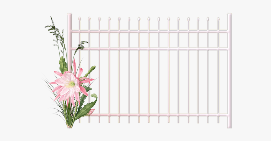 Lily, Transparent Clipart