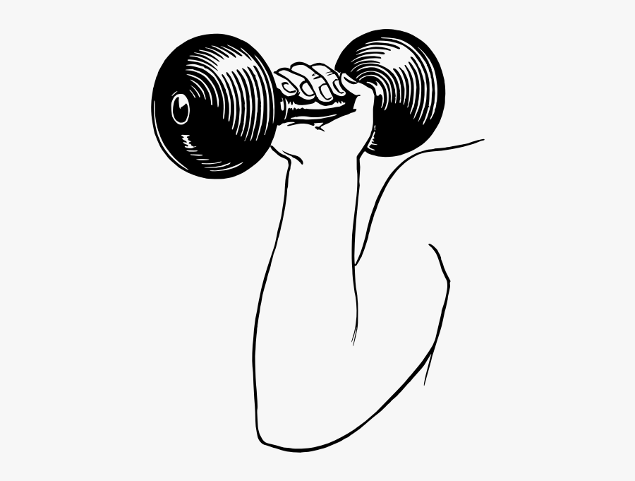 Dumbbell Drawing - Weight Training, Transparent Clipart