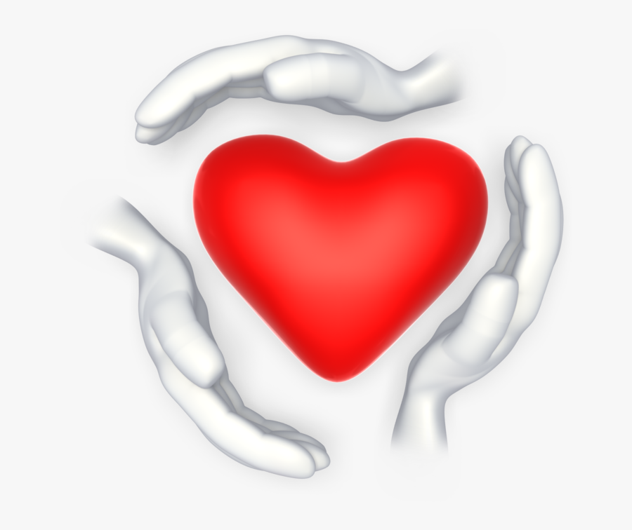 The Phoenix Philosophy, Transparent Clipart