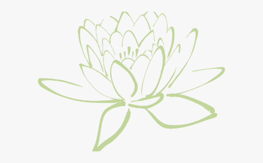 Transparent 300 Clipart Lotus Flower Clipart Green